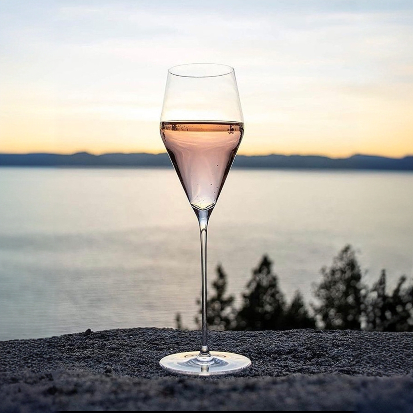 Red Wine Glass