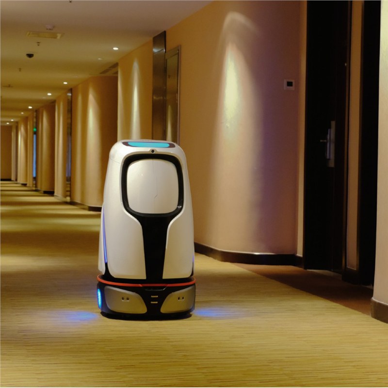 Voice-Controlled Robot